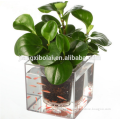 Clear Home Decorative Desktop Flower Pots Self Watering 2 in 1 Crystal Cube Fish Tank Planters
